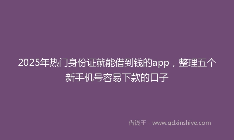 2025年热门身份证就能借到钱的app，整理五个新手机号容易下款的口子