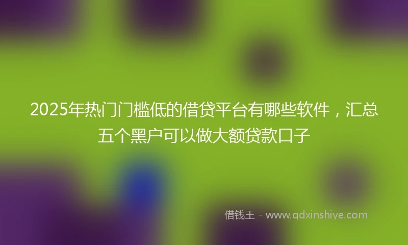 2025年热门门槛低的借贷平台有哪些软件，汇总五个黑户可以做大额贷款口子