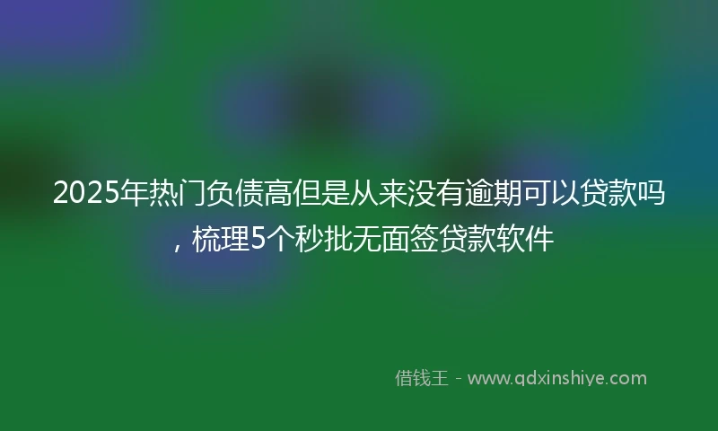 2025年热门负债高但是从来没有逾期可以贷款吗，梳理5个秒批无面签贷款软件