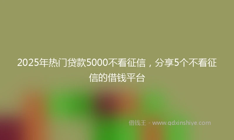 2025年热门贷款5000不看征信，分享5个不看征信的借钱平台