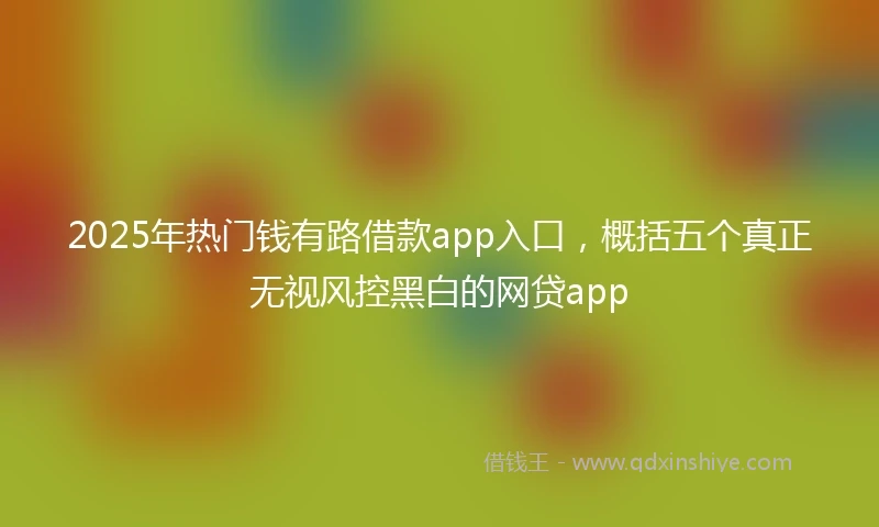 2025年热门钱有路借款app入口，概括五个真正无视风控黑白的网贷app