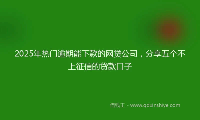 2025年热门逾期能下款的网贷公司，分享五个不上征信的贷款口子