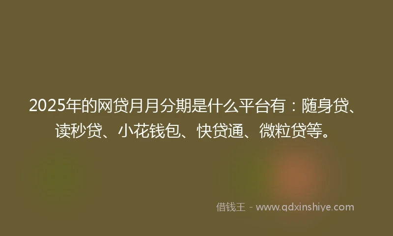 2025年的网贷月月分期是什么平台有：随身贷、读秒贷、小花钱包、快贷通、微粒贷等。