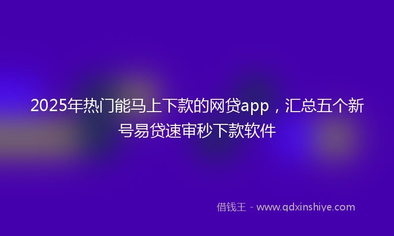 2025年热门能马上下款的网贷app，汇总五个新号易贷速审秒下款软件