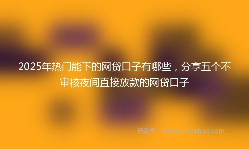 2025年热门能下的网贷口子有哪些，分享五个不审核夜间直接放款的网贷口子