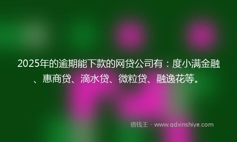 2025年的逾期能下款的网贷公司有:度小满金融、惠商贷、滴水贷、微粒贷、融逸花等。