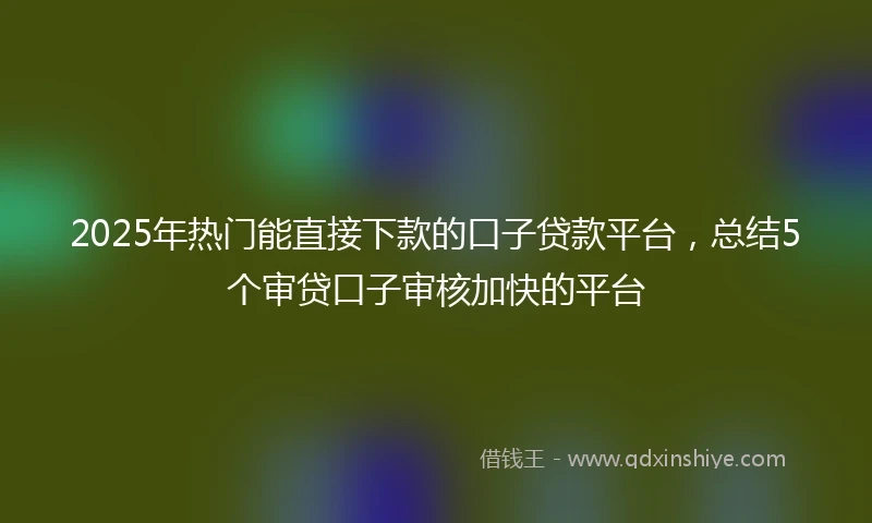 2025年热门能直接下款的口子贷款平台，总结5个审贷口子审核加快的平台
