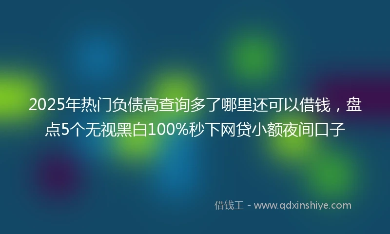 2025年热门负债高查询多了哪里还可以借钱，盘点5个无视黑白100%秒下网贷小额夜间口子