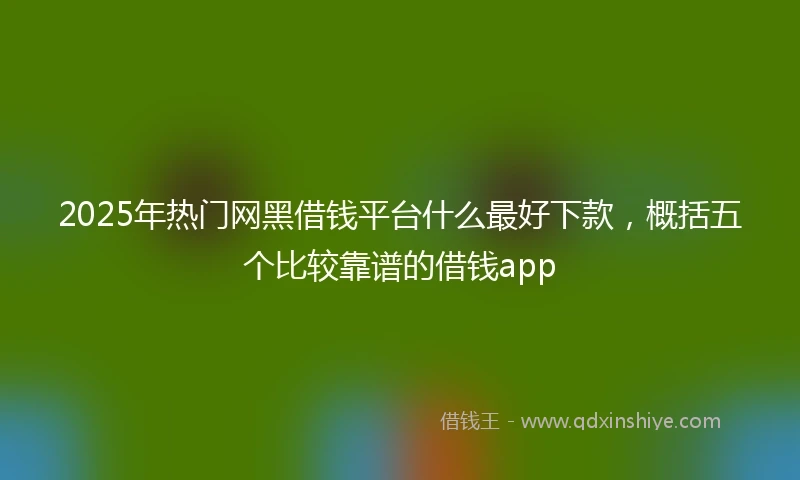 2025年热门网黑借钱平台什么最好下款，概括五个比较靠谱的借钱app