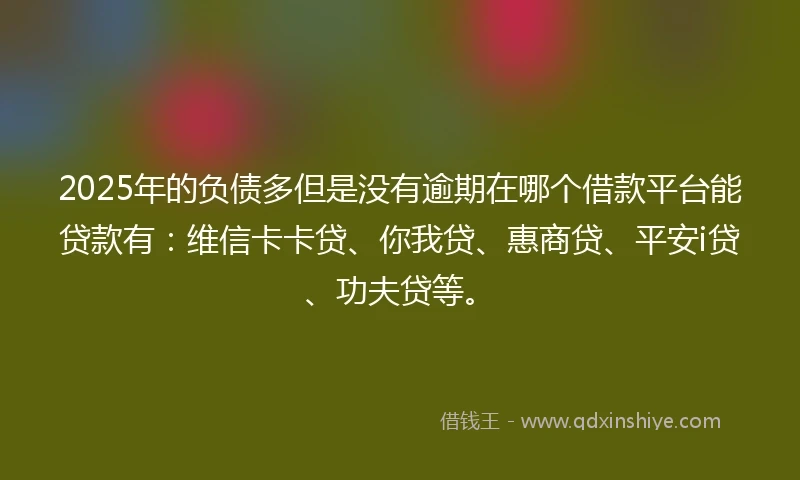 2025年的负债多但是没有逾期在哪个借款平台能贷款有：维信卡卡贷、你我贷、惠商贷、平安i贷、功夫贷等。