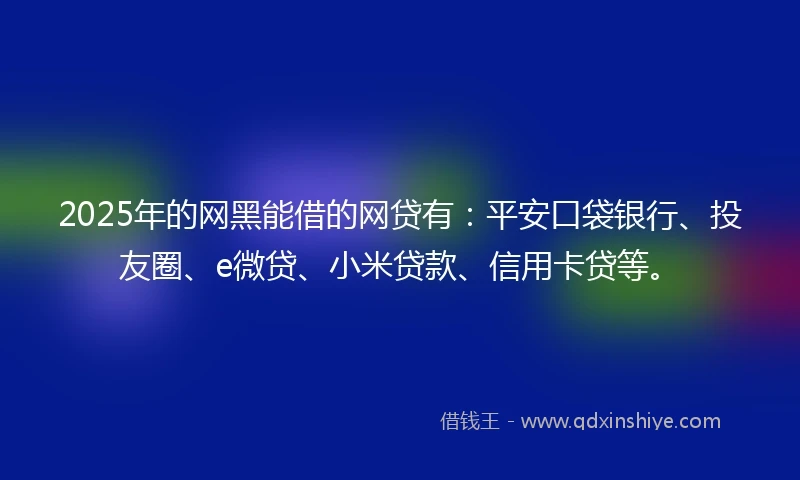 2025年的网黑能借的网贷有：平安口袋银行、投友圈、e微贷、小米贷款、信用卡贷等。