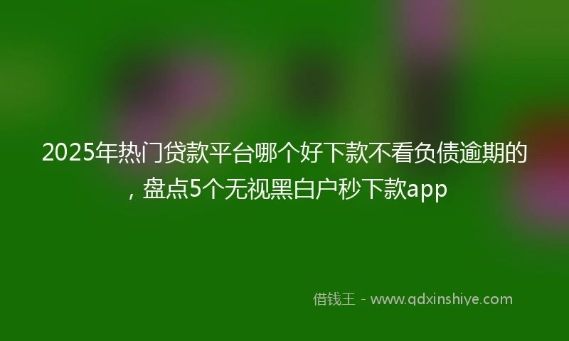 2025年热门贷款平台哪个好下款不看负债逾期的，盘点5个无视黑白户秒下款app