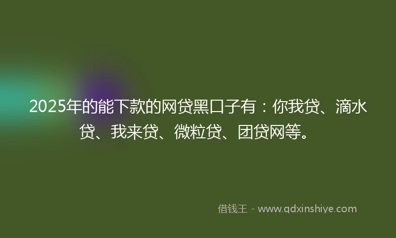 2025年的能下款的网贷黑口子有：你我贷、滴水贷、我来贷、微粒贷、团贷网等。