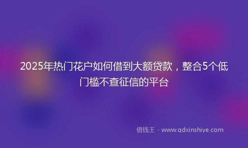2025年热门花户如何借到大额贷款，整合5个低门槛不查征信的平台