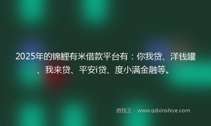 2025年的锦鲤有米借款平台有：你我贷、洋钱罐、我来贷、平安i贷、度小满金融等。