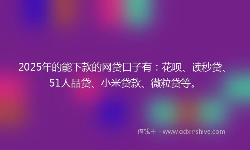 2025年的能下款的网贷口子有：花呗、读秒贷、51人品贷、小米贷款、微粒贷等。