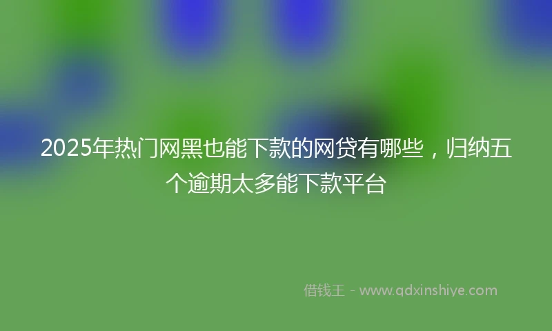 2025年热门网黑也能下款的网贷有哪些，归纳五个逾期太多能下款平台