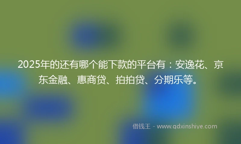 2025年的还有哪个能下款的平台有：安逸花、京东金融、惠商贷、拍拍贷、分期乐等。