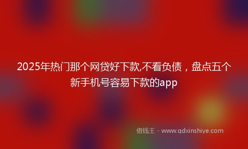 2025年热门那个网贷好下款,不看负债，盘点五个新手机号容易下款的app