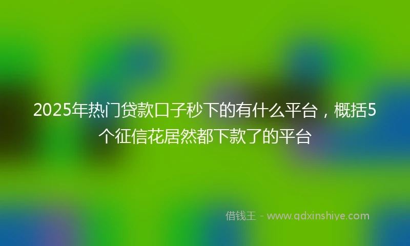 2025年热门贷款口子秒下的有什么平台，概括5个征信花居然都下款了的平台