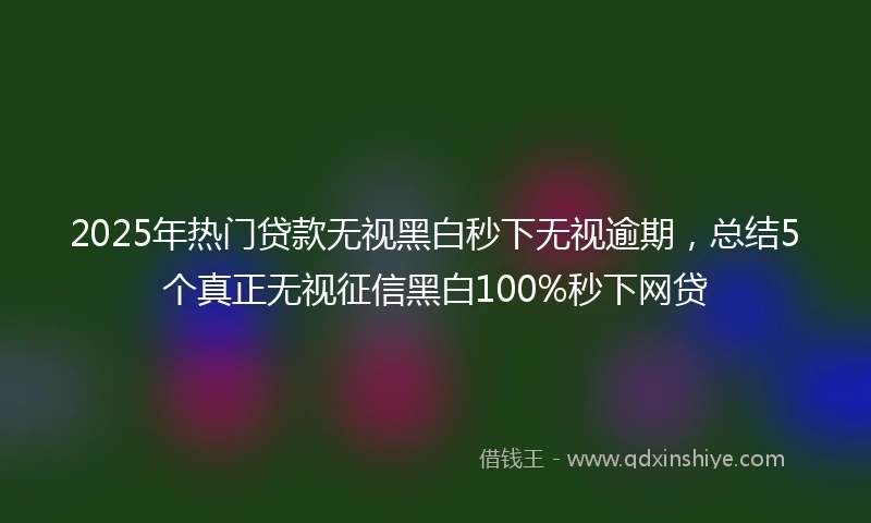 2025年热门贷款无视黑白秒下无视逾期，总结5个真正无视征信黑白100%秒下网贷
