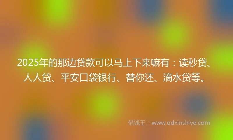 2025年的那边贷款可以马上下来嘛有：读秒贷、人人贷、平安口袋银行、替你还、滴水贷等。