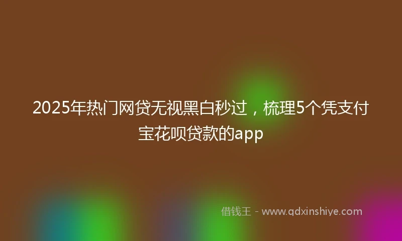 2025年热门网贷无视黑白秒过，梳理5个凭支付宝花呗贷款的app