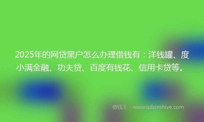 2025年的网贷黑户怎么办理借钱有：洋钱罐、度小满金融、功夫贷、百度有钱花、信用卡贷等。