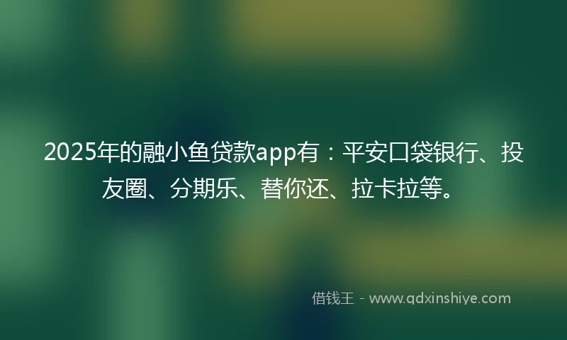 2025年的融小鱼贷款app有：平安口袋银行、投友圈、分期乐、替你还、拉卡拉等。