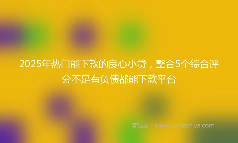 2025年热门能下款的良心小贷，整合5个综合评分不足有负债都能下款平台