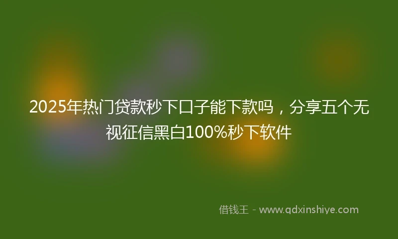 2025年热门贷款秒下口子能下款吗，分享五个无视征信黑白100%秒下软件