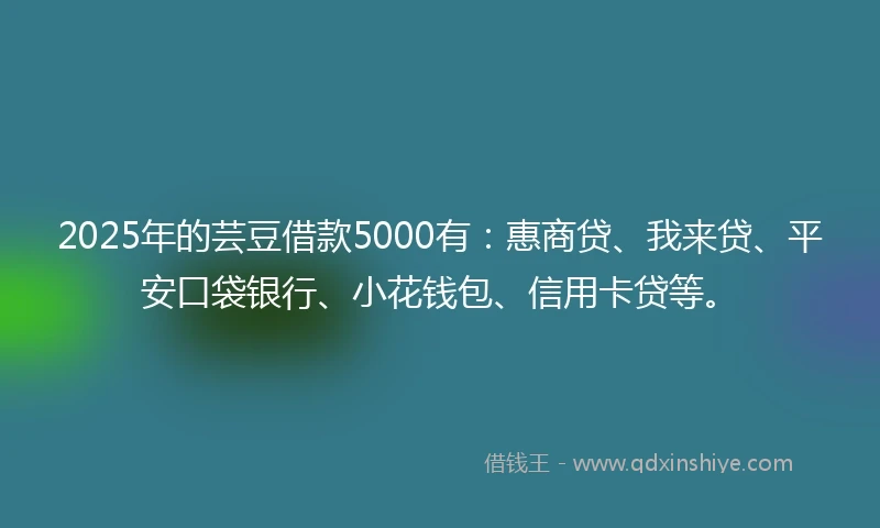 2025年的芸豆借款5000有：惠商贷、我来贷、平安口袋银行、小花钱包、信用卡贷等。