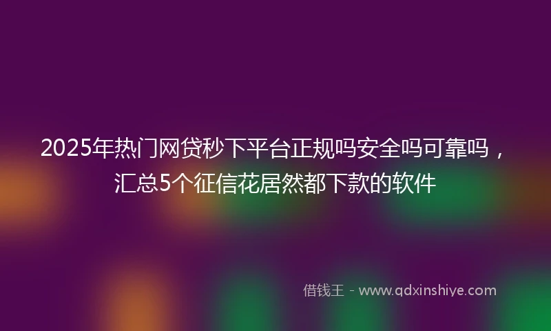 2025年热门网贷秒下平台正规吗安全吗可靠吗，汇总5个征信花居然都下款的软件