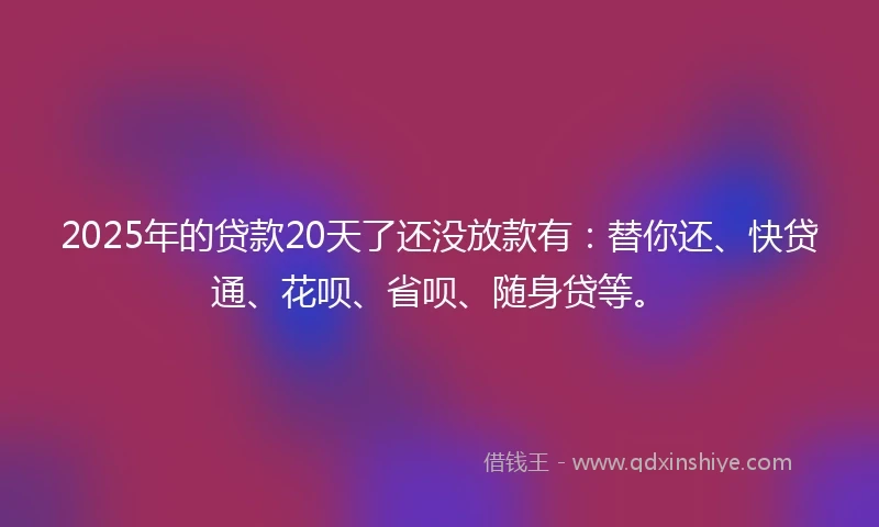 2025年的贷款20天了还没放款有：替你还、快贷通、花呗、省呗、随身贷等。