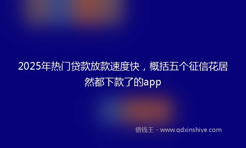 2025年热门贷款放款速度快，概括五个征信花居然都下款了的app