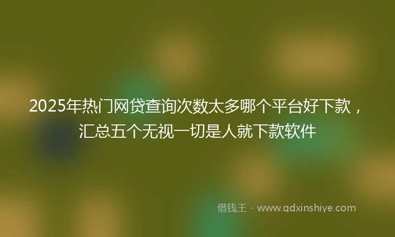 2025年热门网贷查询次数太多哪个平台好下款，汇总五个无视一切是人就下款软件