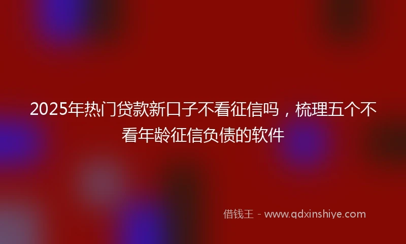 2025年热门贷款新口子不看征信吗，梳理五个不看年龄征信负债的软件