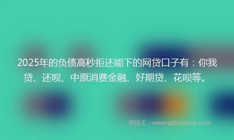 2025年的负债高秒拒还能下的网贷口子有：你我贷、还呗、中原消费金融、好期贷、花呗等。