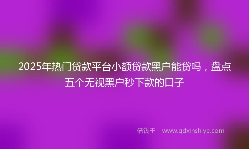 2025年热门贷款平台小额贷款黑户能贷吗，盘点五个无视黑户秒下款的口子