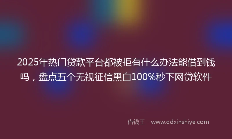 2025年热门贷款平台都被拒有什么办法能借到钱吗，盘点五个无视征信黑白100%秒下网贷软件