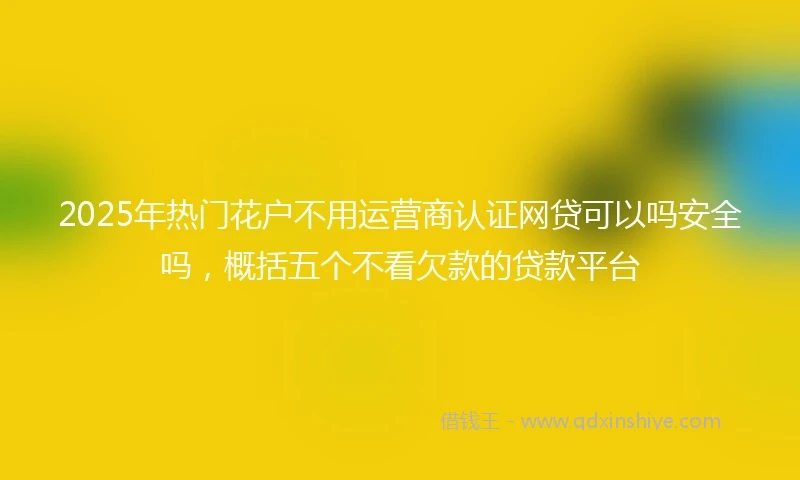 2025年热门花户不用运营商认证网贷可以吗安全吗，概括五个不看欠款的贷款平台