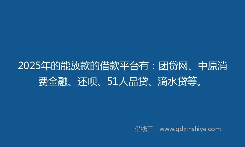 2025年的能放款的借款平台有：团贷网、中原消费金融、还呗、51人品贷、滴水贷等。