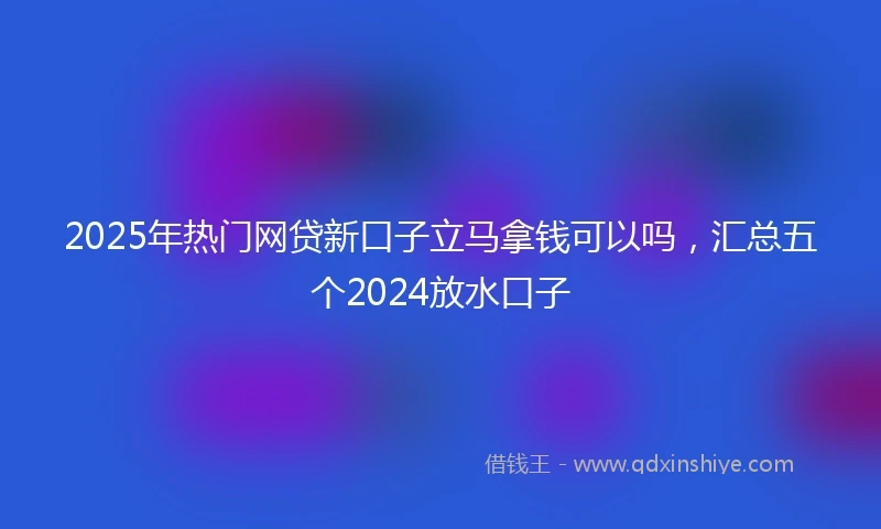 2025年热门网贷新口子立马拿钱可以吗，汇总五个2024放水口子