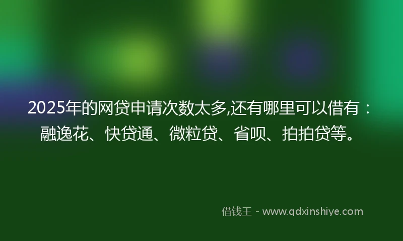 2025年的网贷申请次数太多,还有哪里可以借有：融逸花、快贷通、微粒贷、省呗、拍拍贷等。