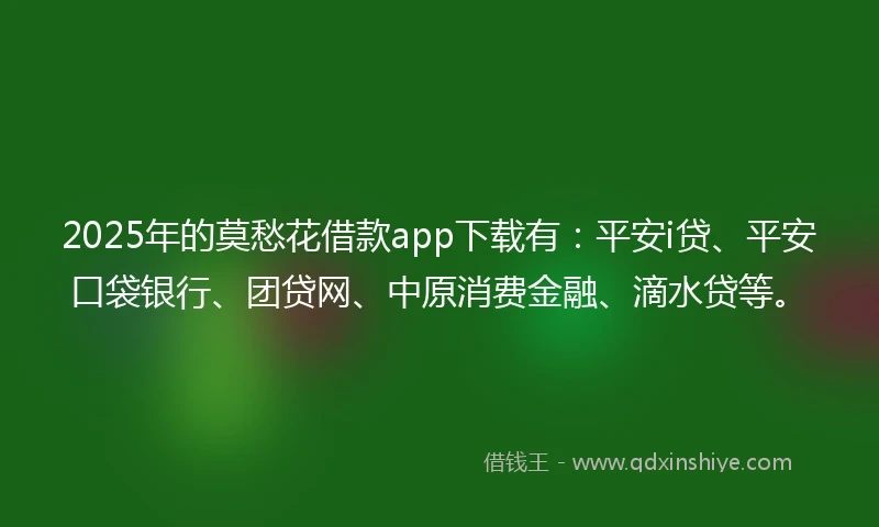 2025年的莫愁花借款app下载有：平安i贷、平安口袋银行、团贷网、中原消费金融、滴水贷等。