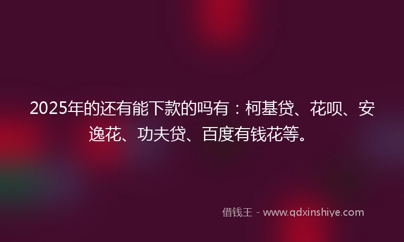 2025年的还有能下款的吗有：柯基贷、花呗、安逸花、功夫贷、百度有钱花等。
