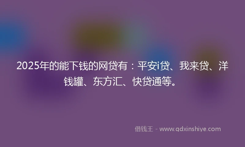 2025年的能下钱的网贷有：平安i贷、我来贷、洋钱罐、东方汇、快贷通等。