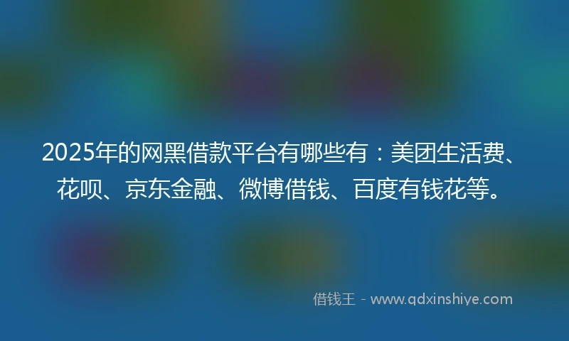 2025年的网黑借款平台有哪些有：美团生活费、花呗、京东金融、微博借钱、百度有钱花等。