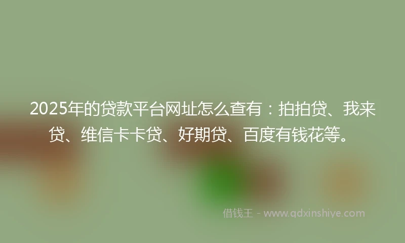 2025年的贷款平台网址怎么查有：拍拍贷、我来贷、维信卡卡贷、好期贷、百度有钱花等。