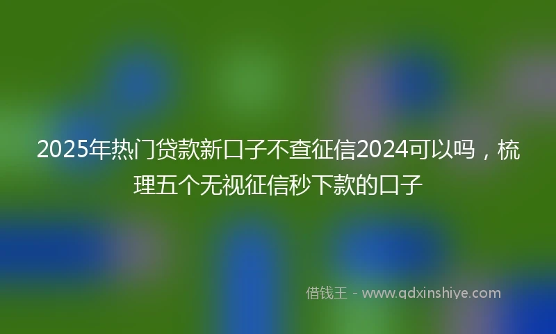 2025年热门贷款新口子不查征信2024可以吗，梳理五个无视征信秒下款的口子